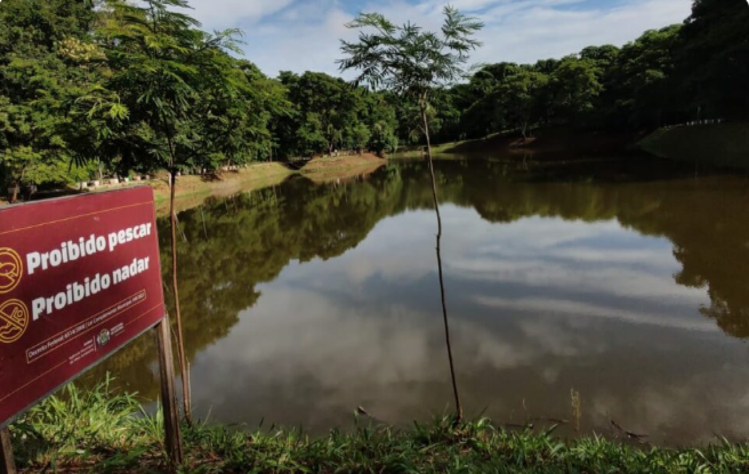 Homem solta peixes em lago de Goiânia e é multado em R$ 50 mil