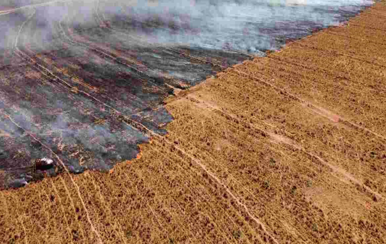 Incêndio de grandes proporções atinge fazendas em Cassilândia