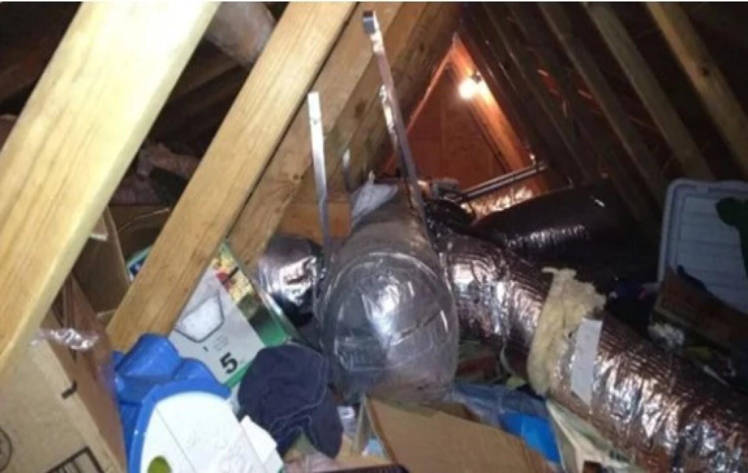Mulher encontra ex-namorado morando escondido em sua casa 12 anos após término