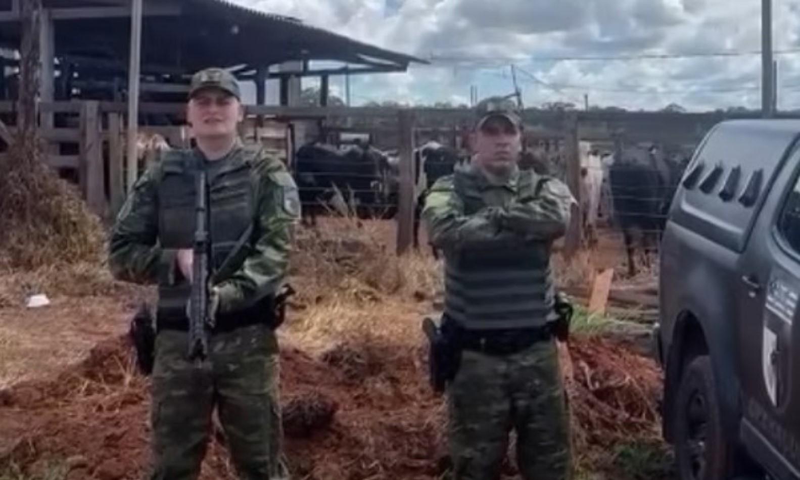 Polícia apreende 900 cabeças confinadas de forma ilegal em Pires do Rio