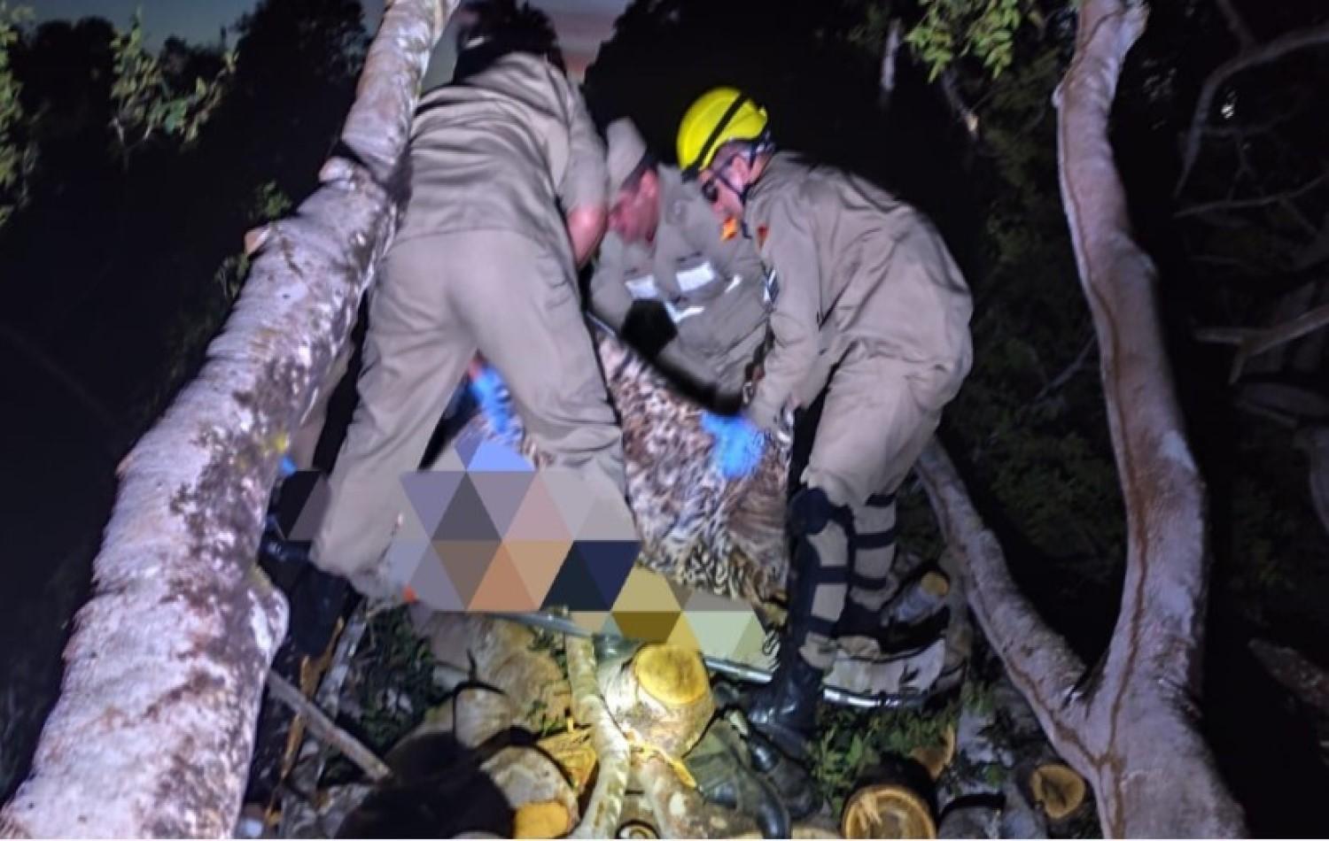 Homem morre após ser atingido por tronco de árvore enquanto trabalhava em fazenda de Goiás