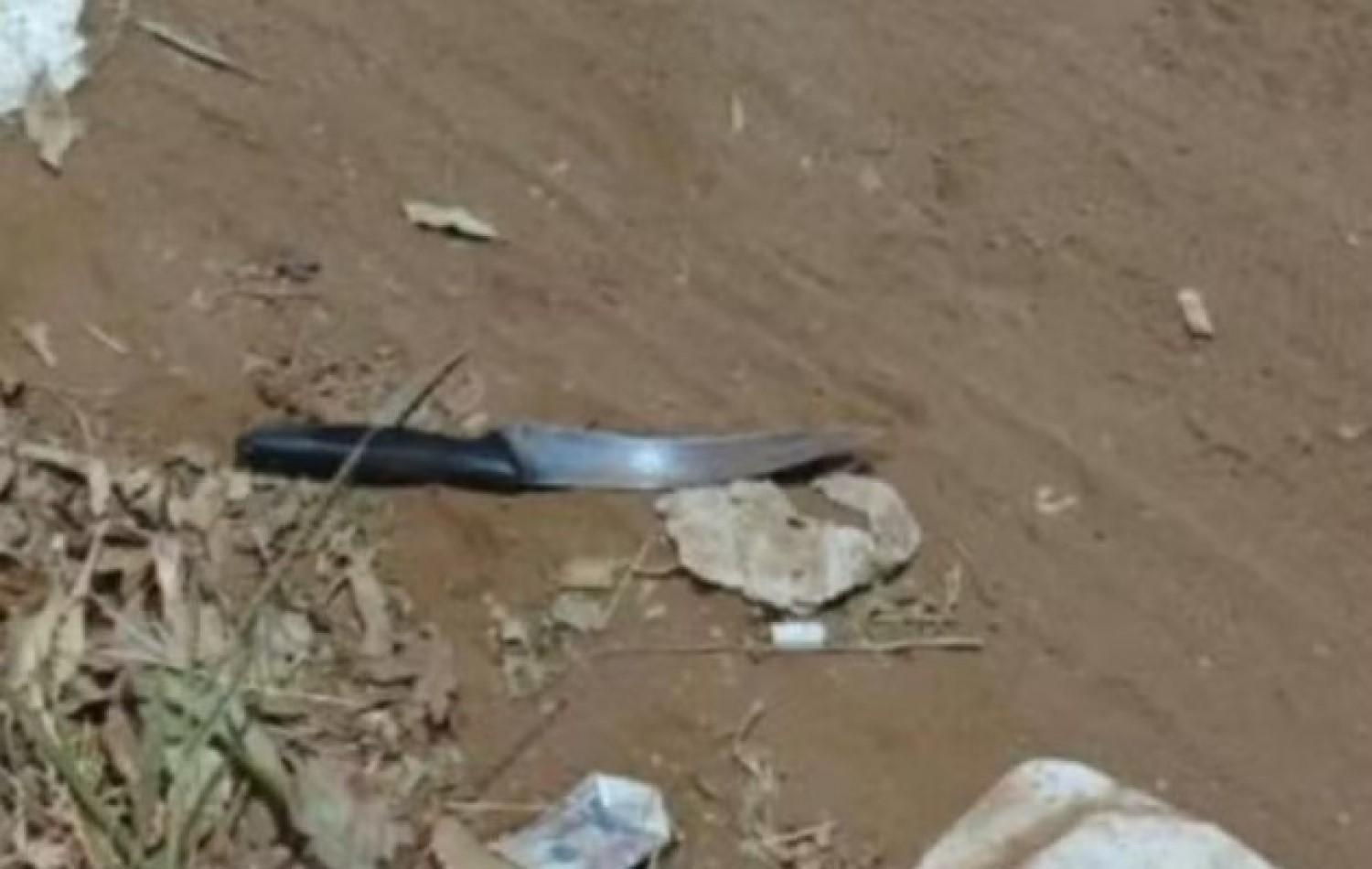 Mulher é presa suspeita de matar homem que teria roubado o cachorro dela
