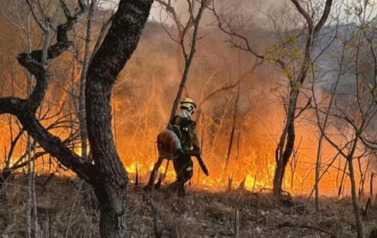 Incêndio atinge reserva indígena Avá-Canoeiro, em Goiás