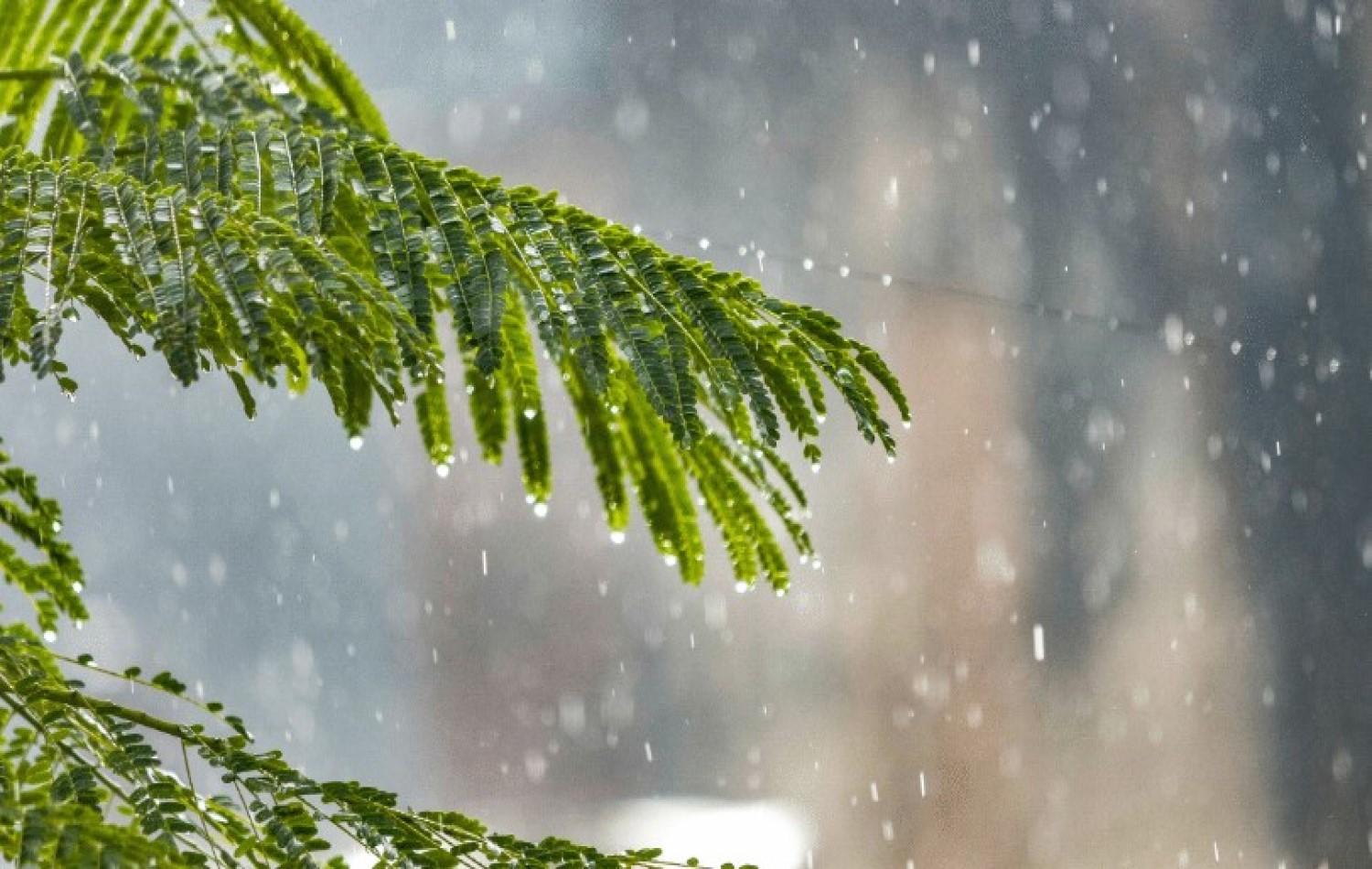 Frente fria pode trazer chuva para Goiás na quinta-feira