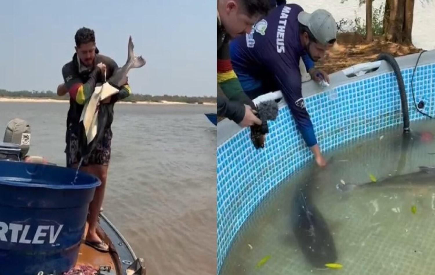 Projeto de reprodução de peixes em cativeiro ajuda a repovoar o Araguaia