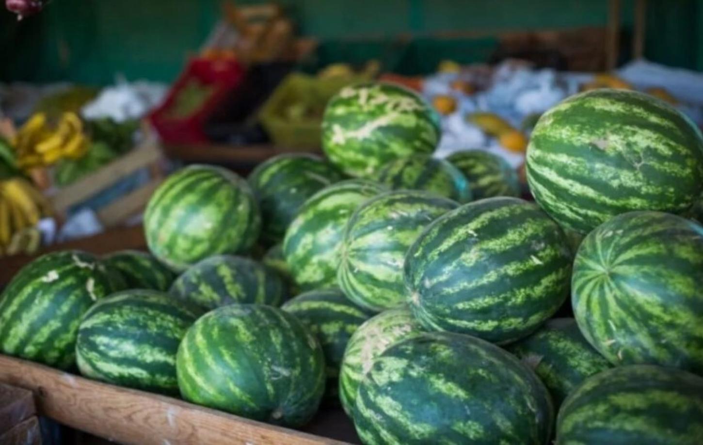 Goiás lidera produção nacional de melancia e registra valor de produção recorde