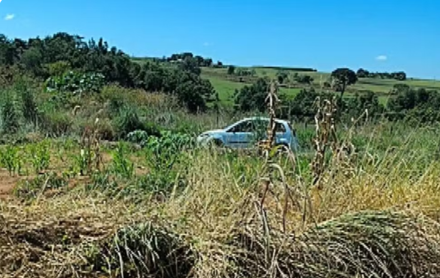 Dupla mata homem a facada durante festa e abandona corpo em estrada, diz polícia