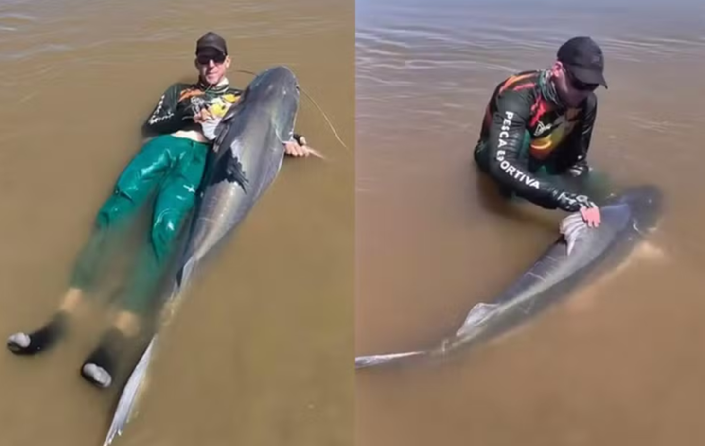 Peixes gigantes que não podem ser consumidos: pescador captura piraíba de quase 2 metros, no Rio Araguaia