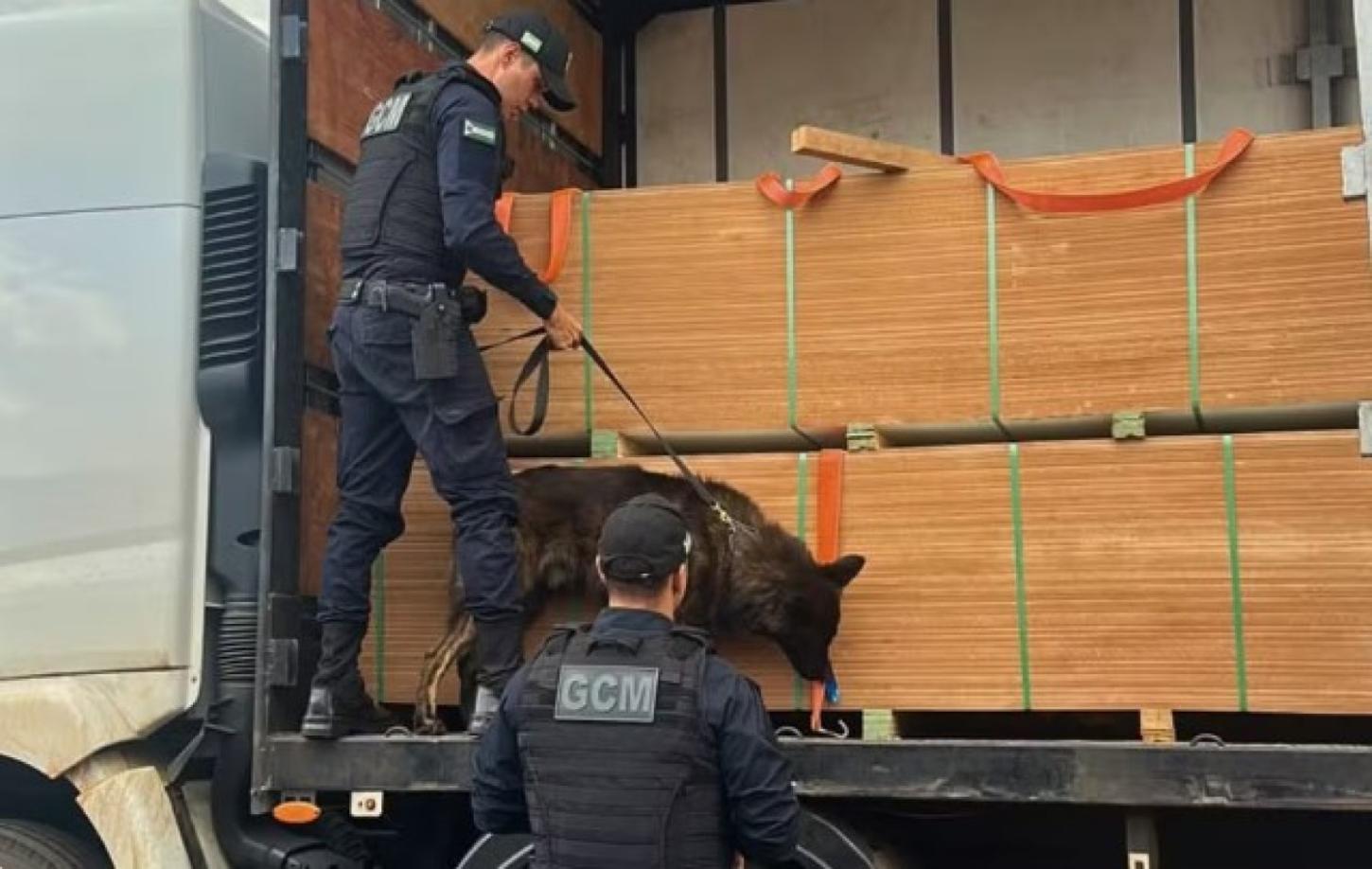 Cão encontra cerca de 7,5 toneladas de droga dentro de falsas chapas de MDF na BR-060