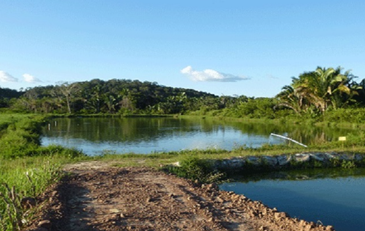 Criança de 1 ano e 10 meses morre afogada em tanque de peixes na zona rural de Chapadão do Sul