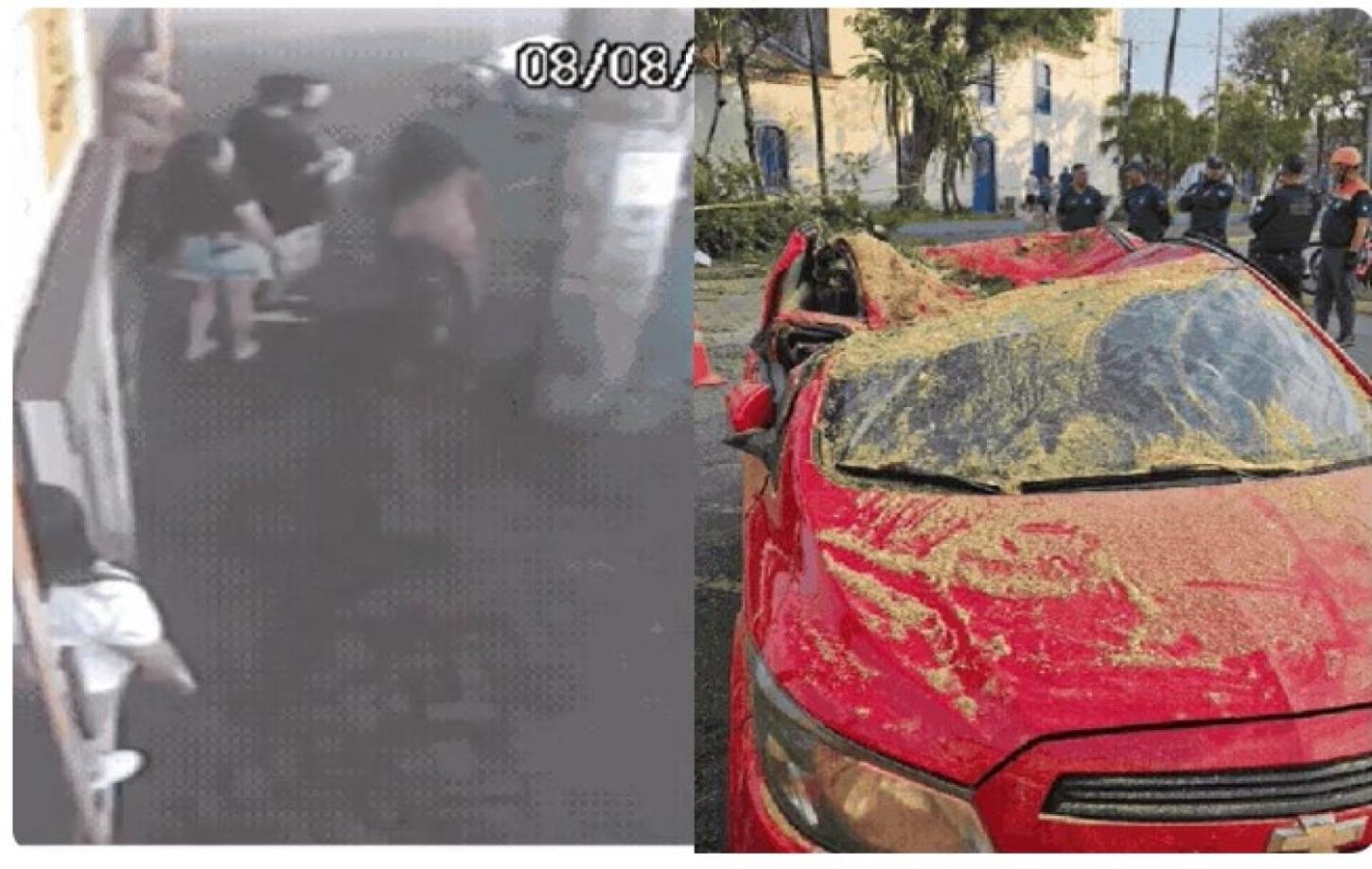 Mulher se desespera ao ver carro esmagado por árvore com marido e filho dentro: 'Passa tudo pela cabeça'