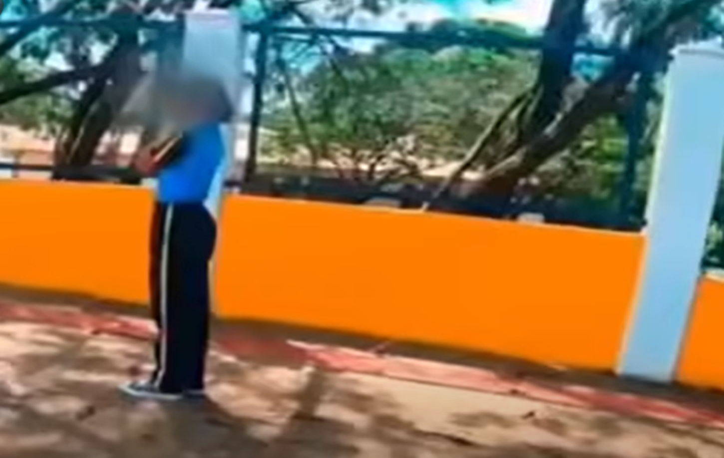 Motoboy enfrenta enxame e resgata menina de 12 anos durante ataque de abelhas em MG